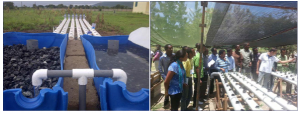A gauche, projet pilote d’aquaponie au Ghana, à droite, formation à l’aquaponie en Ethiopie
