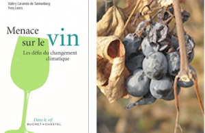"Menace sur le vin, Les défis du changement climatique", ouvrage de Valéry Laramée de Tannenberg et Yves Leers