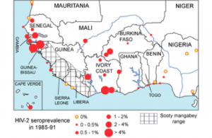 HIV-2 seroprevalence in adults without specific risk factors in West Africa, 1985–91.