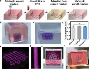 TAU’s volumetric 3D bioprinting process and other sample structures fabricated with the technique. Image via Advanced Science