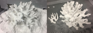 Plaster 3D printed coral with two branches that was broken