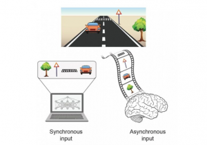 Processing an event with multiple objects. A synchronous input where all objects are presented simultaneously to a computer (left), versus an asynchronous input where objects are presented with temporal order to the brain (right). Credit : Prof. Ido Kanter, Bar-Ilan University